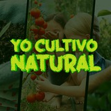 Aprende Cultivo Natural 👩🌾 ❤️ <i class="em