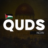 Quds Now 🇵🇸