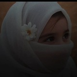 " قَنَادِلُ الضِّيَاءْ "