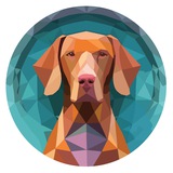 Hungarian Vizsla Inu & VizslaSwap Official Channel