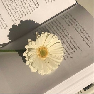 قناة مختصه بقسم اللغه الانگليزيه بكافة مراحله 🌿