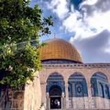 موطني 🇵🇸