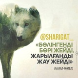 Сүрелер жинағы