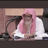 الشيخ محمد شامي شيبة