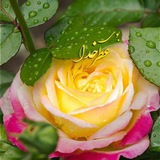 بوی عطر خدا