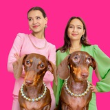 ЧАПИТОСИКИ ❤️ 🐶