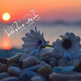 حـروف وخـواطر 💕 🦋