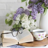 📚 Book of UPSC , UPPSC ,BPSC ,JPSC ,MPPSC ,RPSC ,All other pcs ,SSC ,RAILWAY, BANKING<i class="emoji" style="background-image:url('//telegram.org/img/emoji