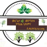 🪴 መርጌታ መንግስቱ የባህል መዳኒት ቀማሚ 🌿 <i class="emoji" style="bac