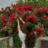 مــلاك محمــد