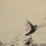 مأتم .