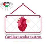 CardioVascular System