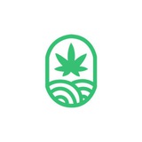 JuicyFields Official Channel