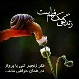 💕 مـسیـــــــرآرامـــــــــش 💕