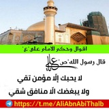🍃 اقوال وحكم الإمام علي"؏" 🍃