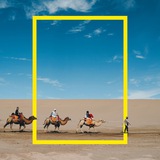 وثائقيات و طبيعة | 🌿 🦌