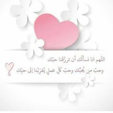 ✨ Motivational Islamic Quotes 🌺