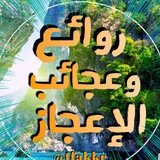 💡 روائع وعجائب الإعجاز 💡