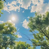 سمَـاء