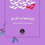 رسانهفرهنگی ضیاءالدینخالقی