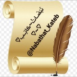 نَبَضـــاتُ♡