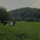 سنة أولي التزام