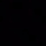 سَباع اليل𓂆
