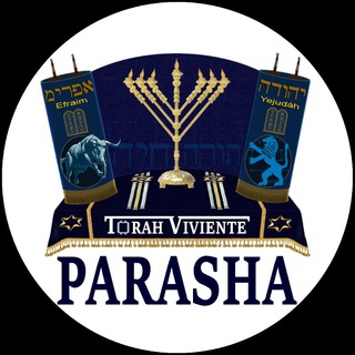PARASHOT TORA VIVIENTE