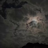 لـ صُدفه •