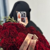 hanifa.fisabilillah