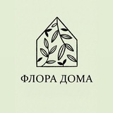 Флора дома: кашпо & растения