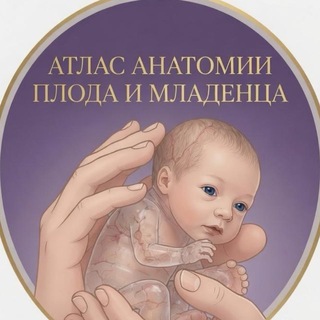 Анатом в истории 🧠