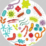 Microbiology MBBS notes and mcq's