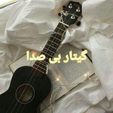 Gittar bisda 🎸