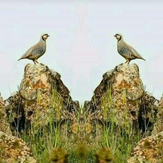 آهنگ