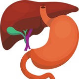 Gastroenterology courses