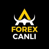 Forex Canli