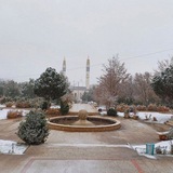 مهمات دانشگاه پیشوا