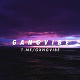 G A N G V I B E π₯