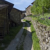 MOGLIAZZE