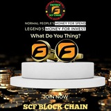 SCF CHAIN (FINTOCH)