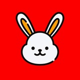 Little Rabbit Announcements