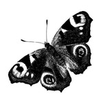 |⇒ ƒєєℓ gοο∂