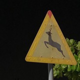 ᷂عمهُوجه .