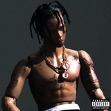 TRAVIS FOREX