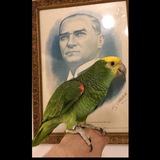 PAPAĞAN İZMİR