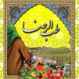 طب الرضا علیه السلام