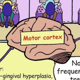 Mbbs notes
