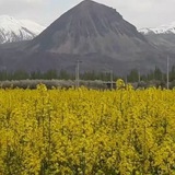 قاراجابایجان