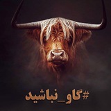 لدفن گاو نباشیم !